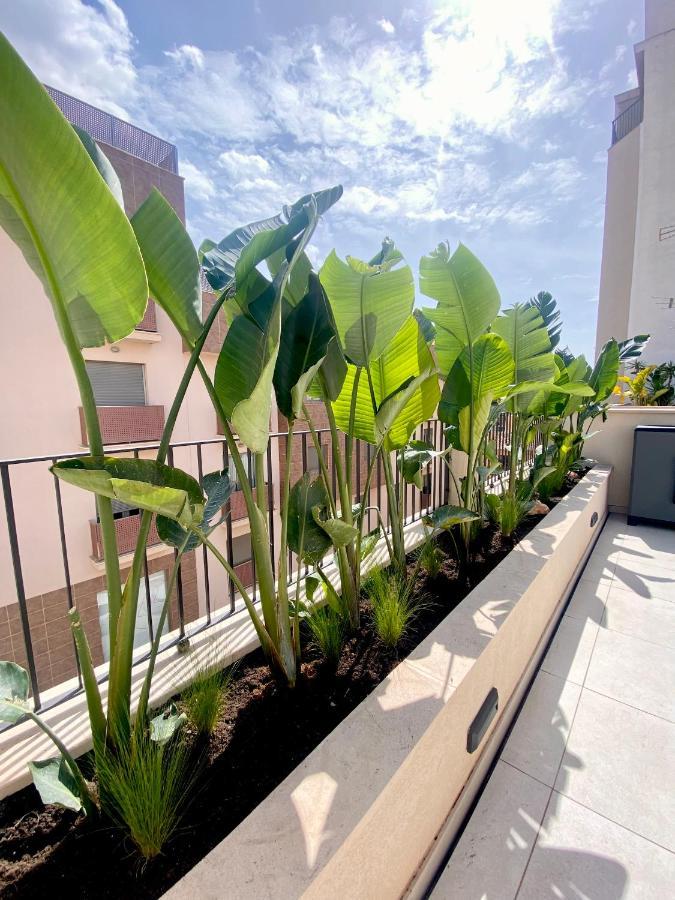 Hotel-Apartment With Big Terrace Palma de Mallorca Exterior photo